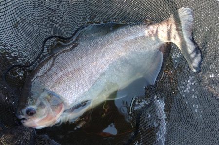 午後からのんびりと浜名湖フィッシングリゾートへ